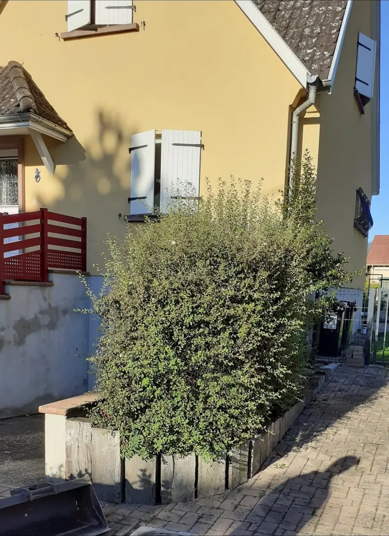 Entrée réaménagée, avant